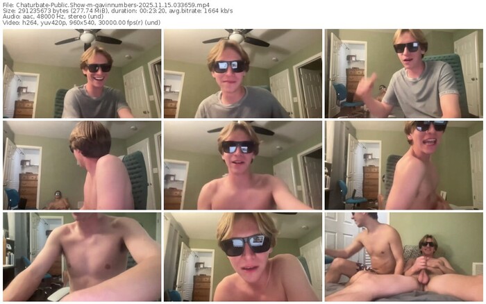 chaturbate-gavinnumbers-11-15-2025-03-36-59