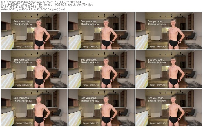 chaturbate-xxevilfox-11-15-2025-02-53-12