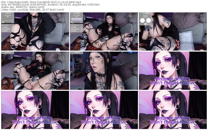 chaturbate-aciddroll-11-16-2025-01-38-08