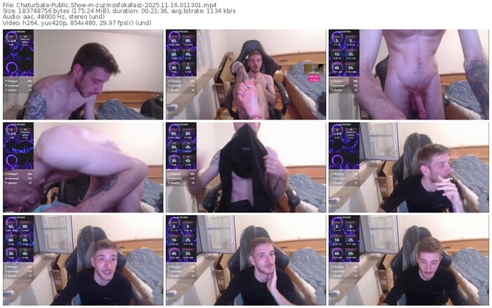 chaturbate-zuzmosfokafasz-11-16-2025-01-13-01