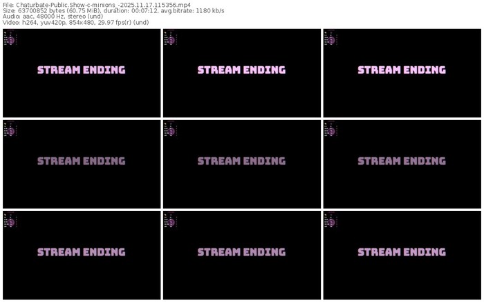 chaturbate-minions_-11-17-2025-11-53-56