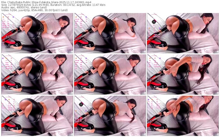 chaturbate-dakota_blare-11-17-2025-16-39-01