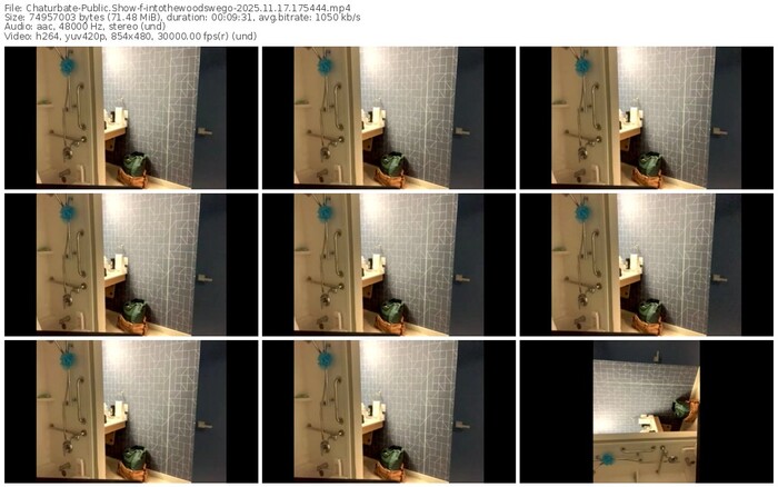 chaturbate-intothewoodswego-11-17-2025-17-54-44