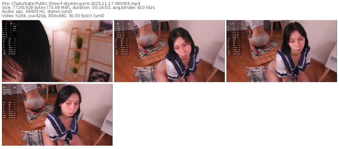 chaturbate-skyemcguire-11-17-2025-09-04-56