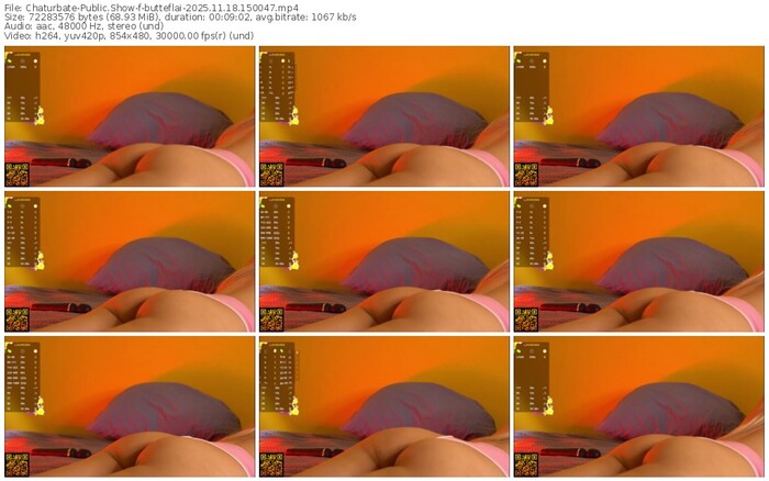 chaturbate-butteflai-11-18-2025-15-00-47