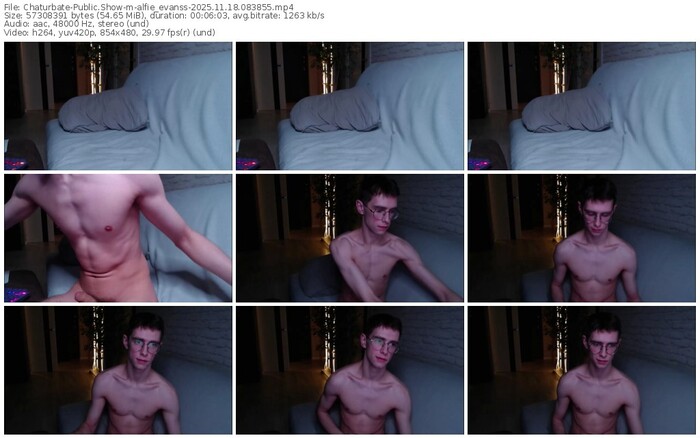 chaturbate-alfie_evanss-11-18-2025-08-38-55