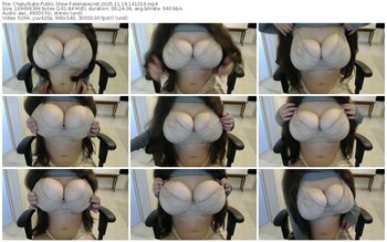 chaturbate-elenasecret-11-19-2025-14-12-16