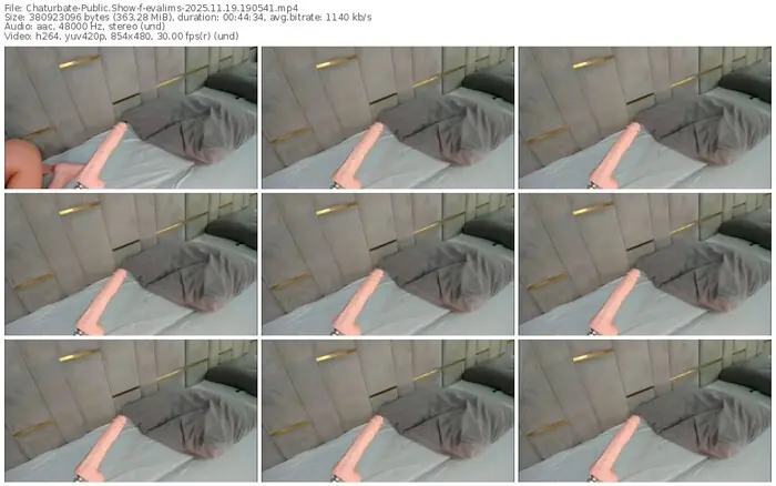 chaturbate-evalims-11-19-2025-19-05-41