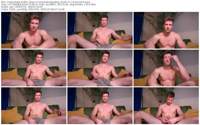 chaturbate-therealveggieboy-11-19-2025-01-02-04