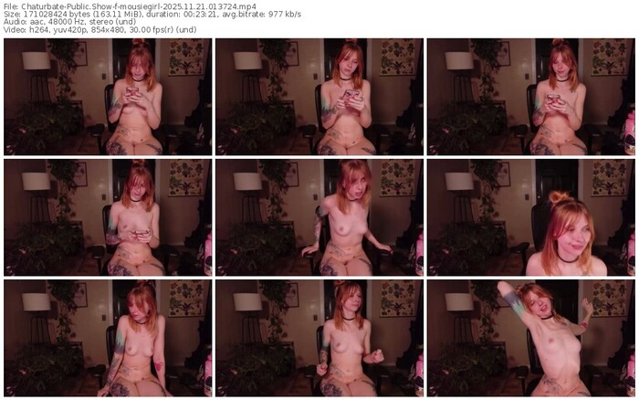 chaturbate-mousiegirl-11-21-2025-01-37-24