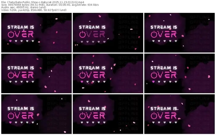 chaturbate-8abycat-11-23-2025-01-21-02