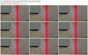 chaturbate-savagesweethearts-11-23-2025-03-40-02