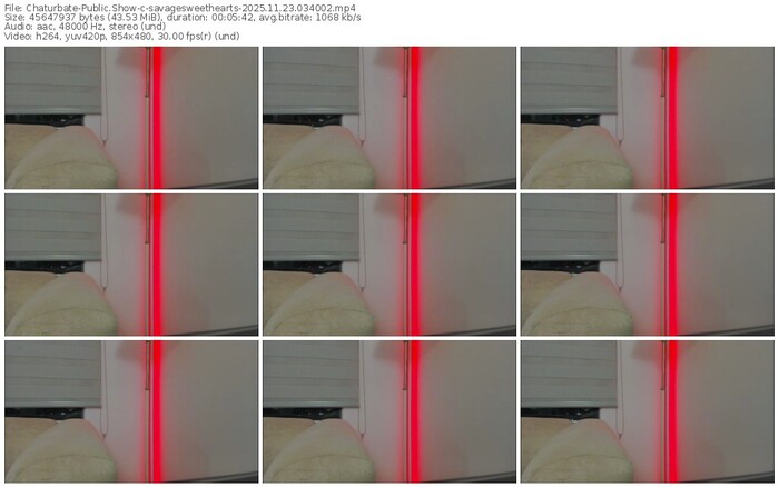 chaturbate-savagesweethearts-11-23-2025-03-40-02