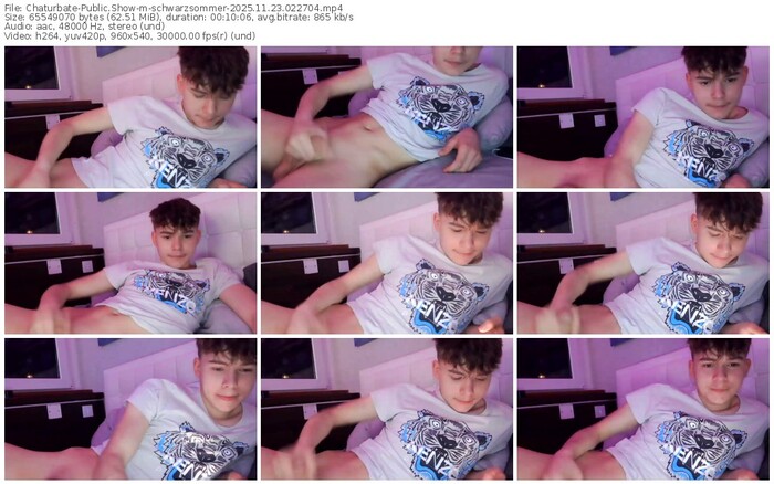 chaturbate-schwarzsommer-11-23-2025-02-27-04