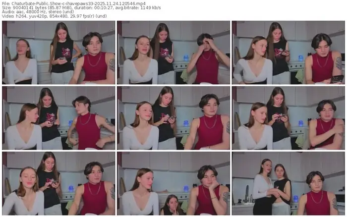 chaturbate-ihavepaws33-11-24-2025-12-05-46
