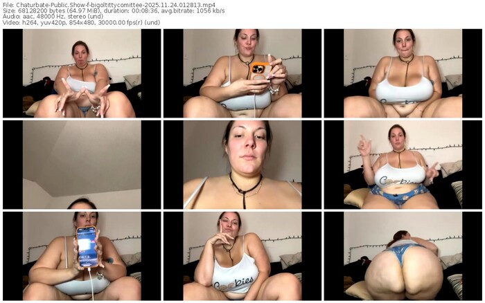 chaturbate-bigoltittycomittee-11-24-2025-01-28-13