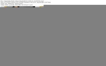 chaturbate-diannedinn1-11-24-2025-05-03-51