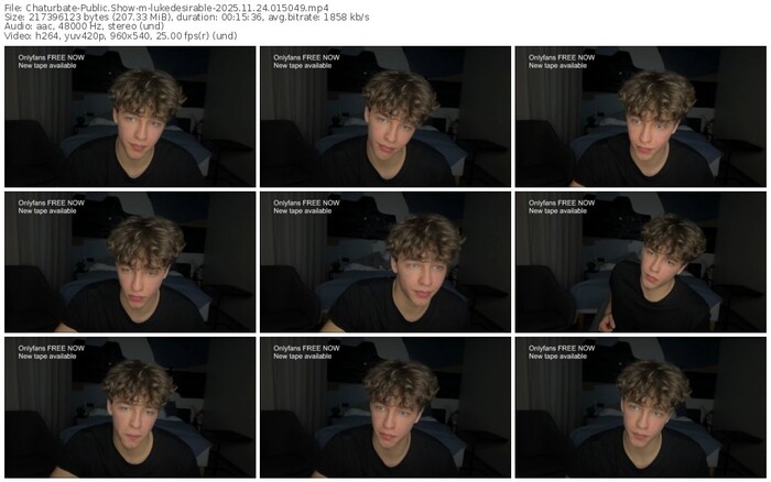 chaturbate-lukedesirable-11-24-2025-01-50-49