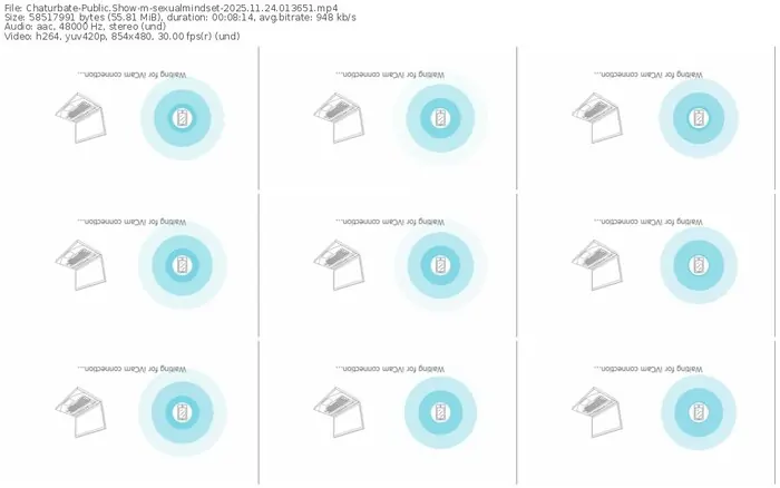 chaturbate-sexualmindset-11-24-2025-01-36-51