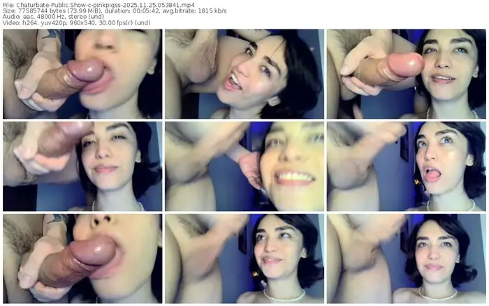 chaturbate-pinkpigss-11-25-2025-05-38-41