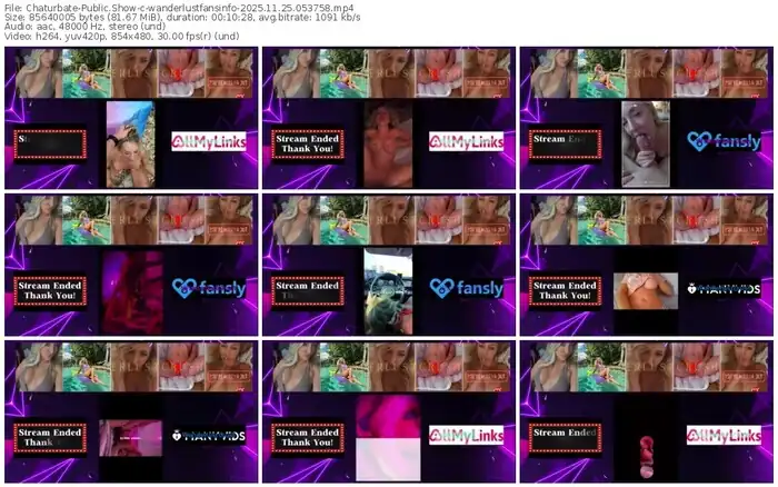 chaturbate-wanderlustfansinfo-11-25-2025-05-37-58