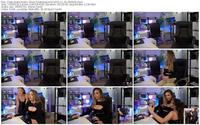 chaturbate-babesgowild-11-25-2025-09-06-46