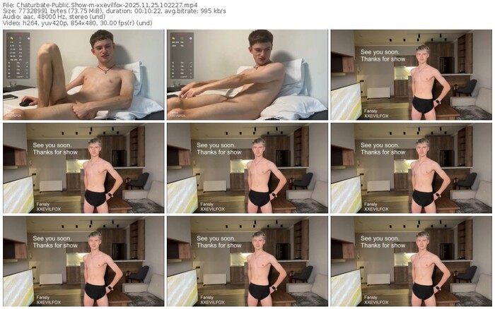 chaturbate-xxevilfox-11-25-2025-10-22-27