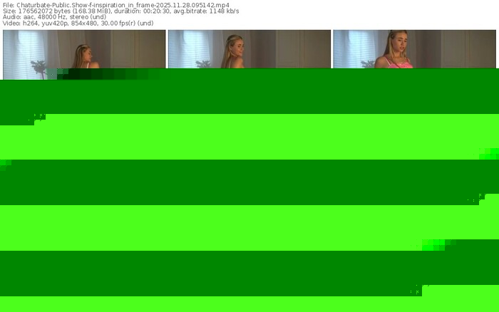 chaturbate-inspiration_in_frame-11-28-2025-09-51-42