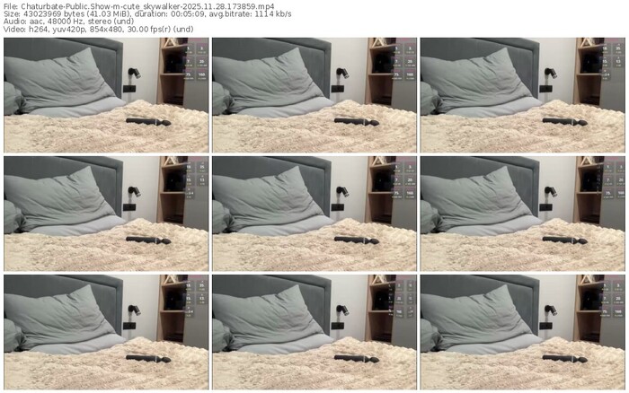 chaturbate-cute_skywalker-11-28-2025-17-38-59