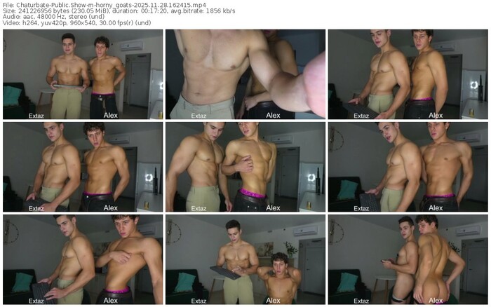 chaturbate-horny_goats-11-28-2025-16-24-15