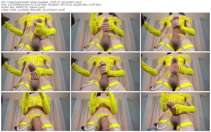 chaturbate-jaddyk_-11-28-2025-22-08-07