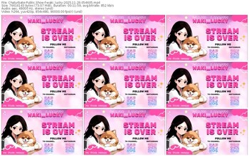 chaturbate-waki_lucky-11-29-2025-05-46-05