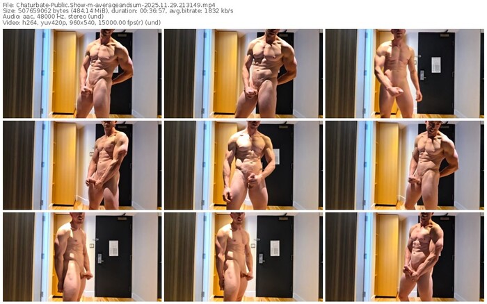 chaturbate-averageandsum-11-29-2025-21-31-49