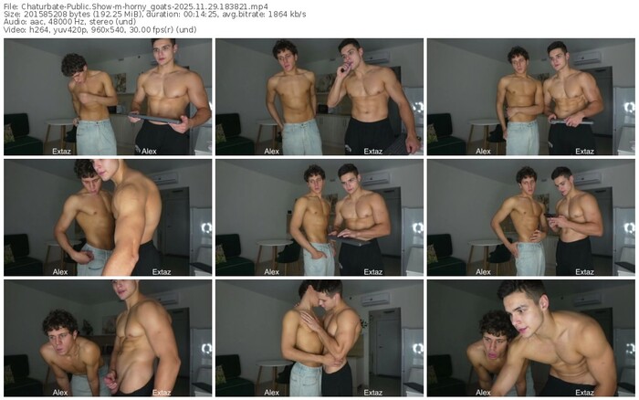 chaturbate-horny_goats-11-29-2025-18-38-21