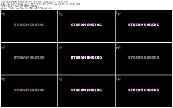 chaturbate-minions_-12-03-2025-11-48-46