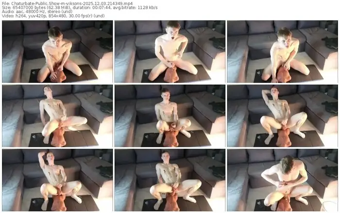 chaturbate-viksons-12-03-2025-21-43-49