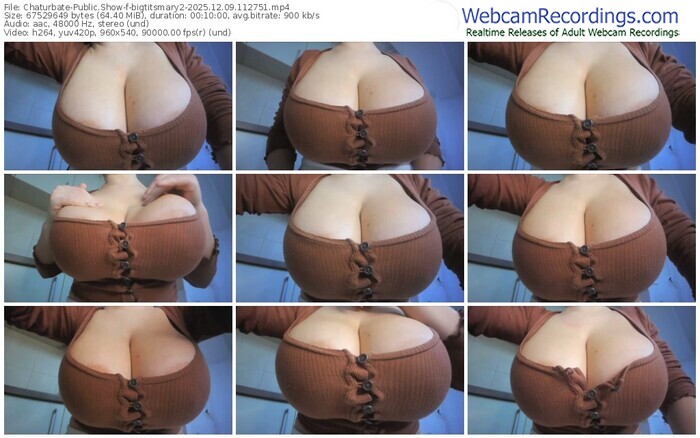 chaturbate-bigtitsmary2-12-09-2025-11-27-51