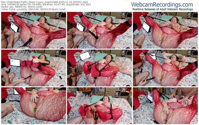 chaturbate-juicy_peach1988-12-10-2025-00-55-57