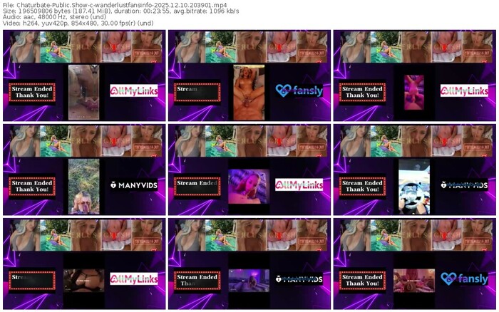 chaturbate-wanderlustfansinfo-12-10-2025-20-39-01