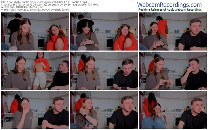 chaturbate-ihavepaws33-12-11-2025-14-08-00