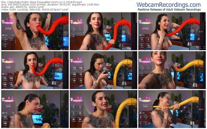 chaturbate-evarabbit-12-11-2025-05-18-35