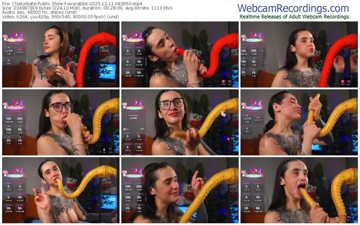 chaturbate-evarabbit-12-11-2025-08-39-50