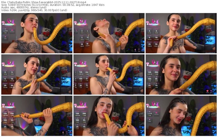 chaturbate-evarabbit-12-11-2025-09-27-18