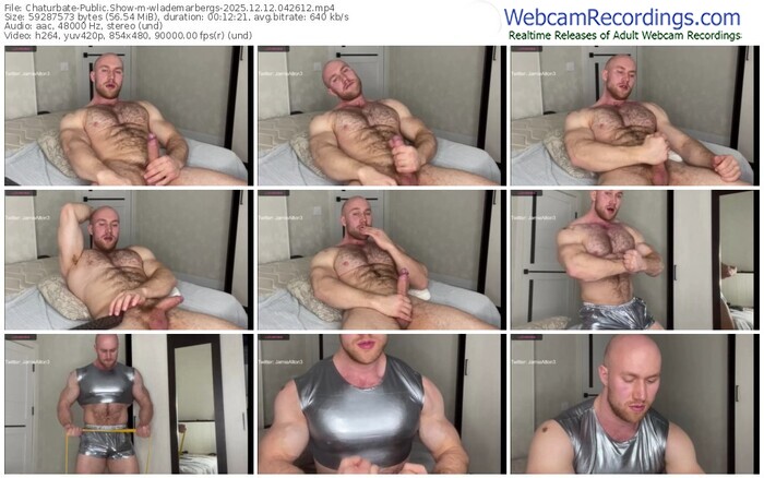 chaturbate-wlademarbergs-12-12-2025-04-26-12