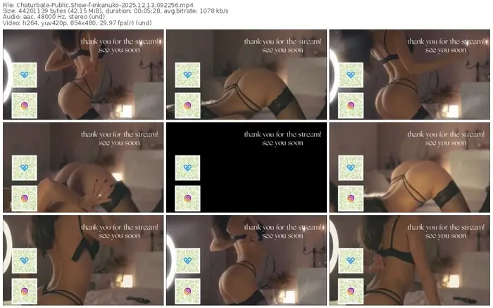 chaturbate-inkanuko-12-13-2025-09-22-56