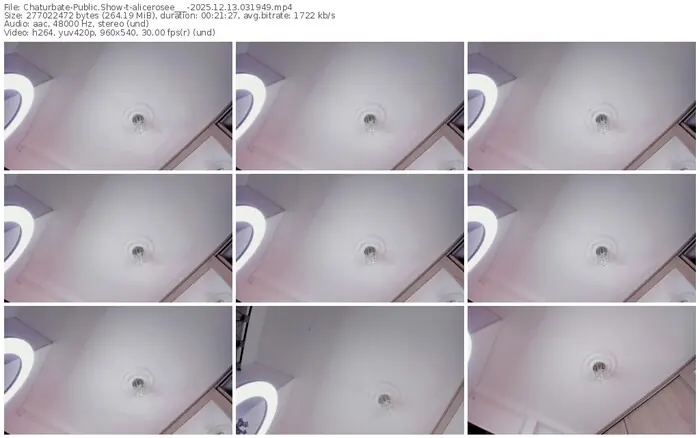 chaturbate-alicerosee___-12-13-2025-03-19-49