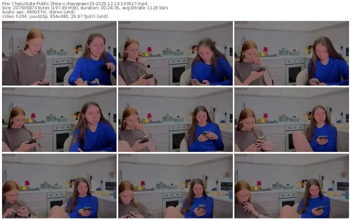 chaturbate-ihavepaws33-12-14-2025-16-39-27