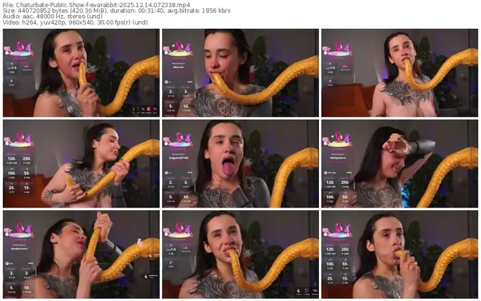 chaturbate-evarabbit-12-14-2025-07-23-38