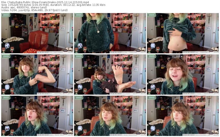 chaturbate-nami3neko-12-14-2025-21-52-03