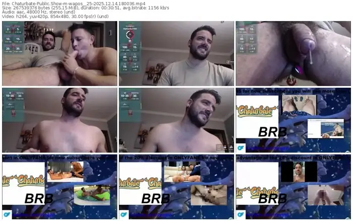 chaturbate-wapos__25-12-14-2025-18-00-36
